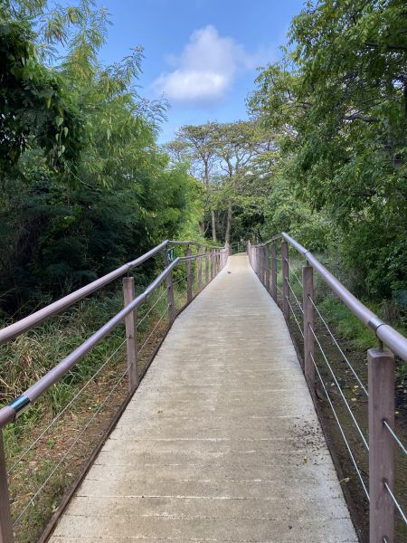 Footpath Construction in Albany