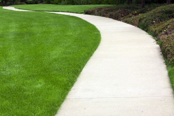 Cost of Pathway Construction in Albany