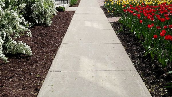 Cement Sidewalk Installation in Albany
