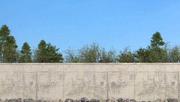 Privacy Wall Construction in Albany