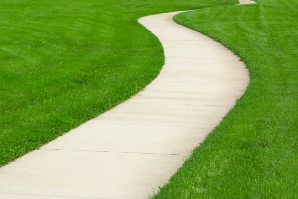 Cost of Walkway Building in Albany