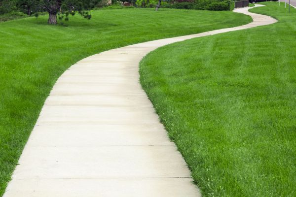 Cost of Sidewalk Paving in Albany