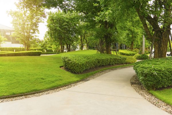 Walkway Concrete Installation in Albany