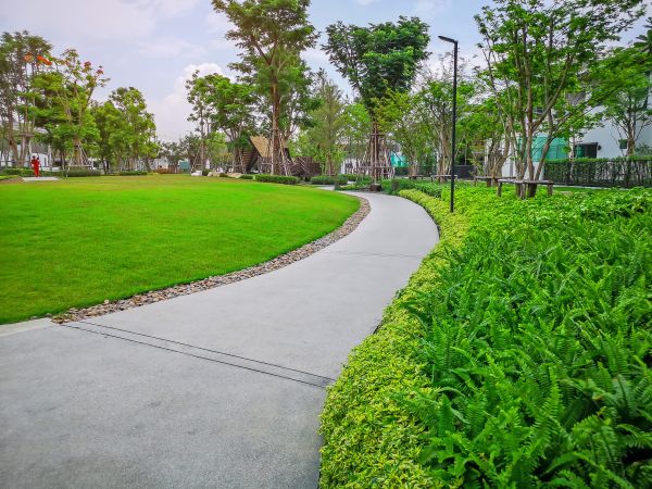 Cement Walkway Service in Albany