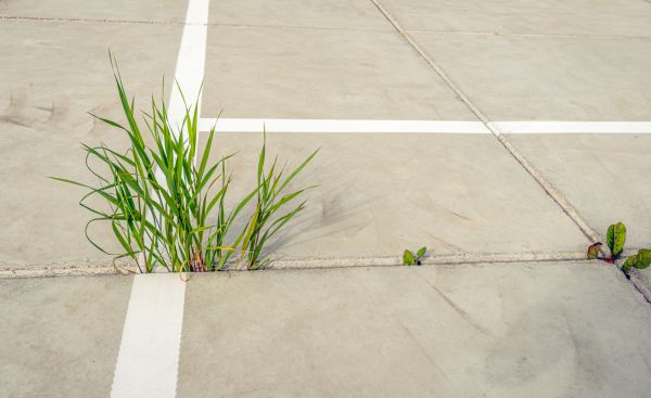 Concrete Parking Installation in Albany