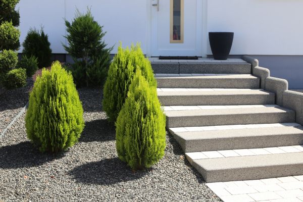 Exterior Steps Construction in Albany