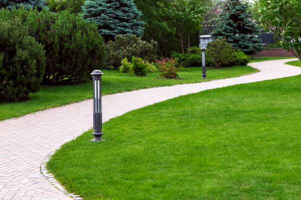 Backyard Sidewalk Installation in Albany