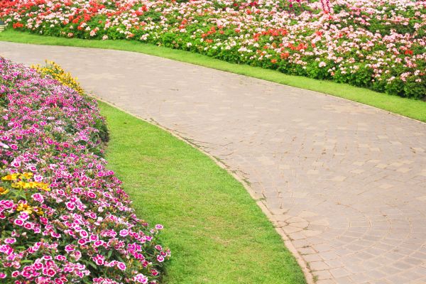 Concrete Walkway Service in Albany