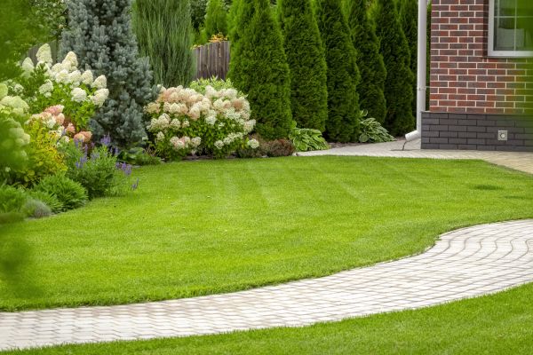 Landscape Walkway Installation in Albany