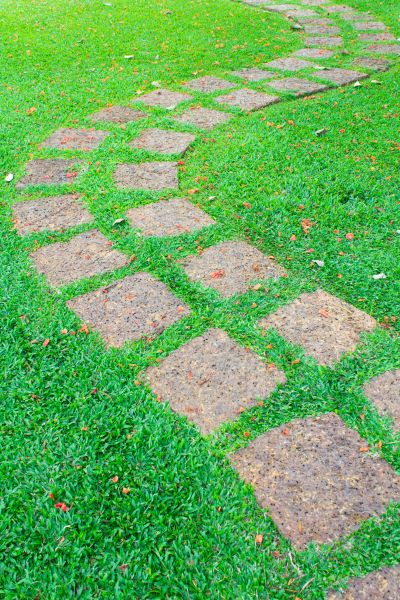 Backyard Pathway Construction in Albany